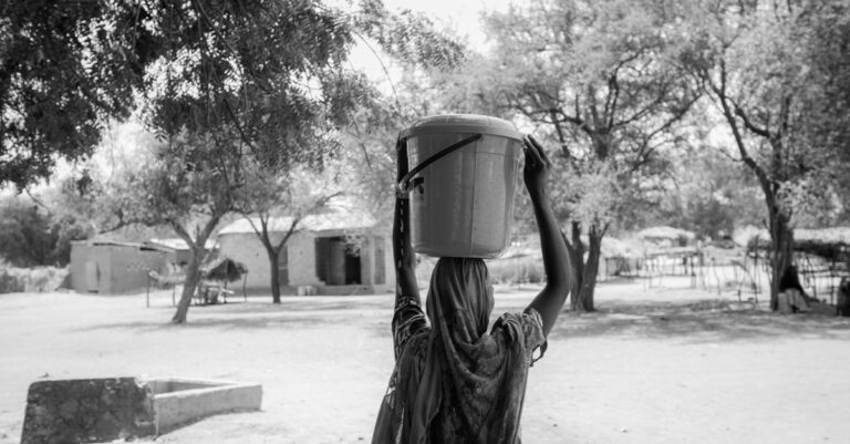 7 Community Workshops on Water Resilience That Build Community Support
