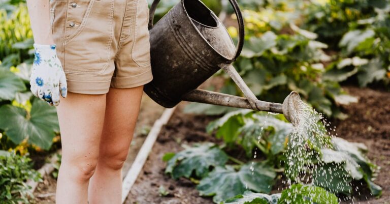 9 Gardening Tips for Native Edible Plants That Support Daily Life