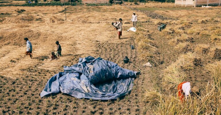 7 Rainwater Harvesting Methods for Families That Cut Bills By 40%
