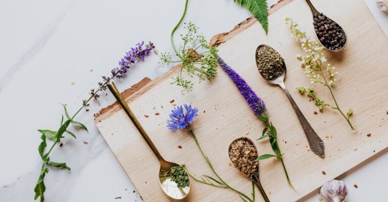 7 Ways to Understanding Cooking With Alternative Fuels for Sustainable Living
