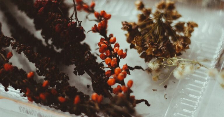 7 Seasonal Food Preservation Strategies That Save Money Year-Round