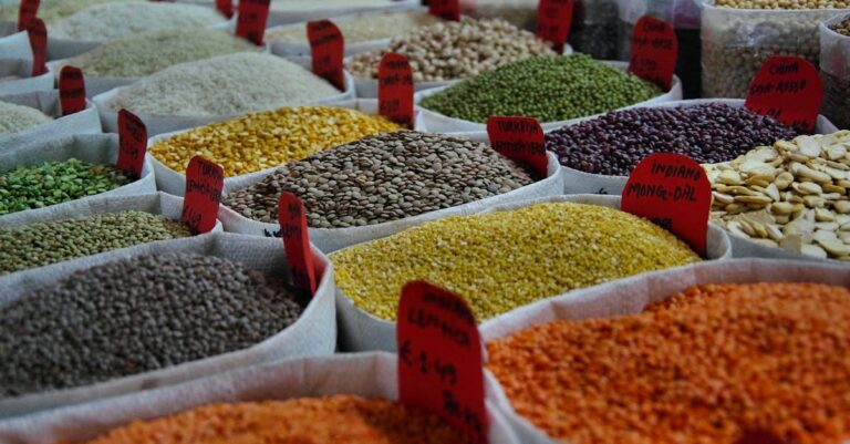 7 Adaptable Recipes for Various Cooking Fuels That Make Mealtime Easy