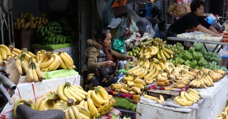 7 Urban Farming Initiatives for Families That Build Lasting Memories