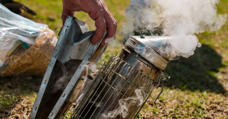 10 Family-Friendly Gardening Techniques for Local Bees That Support Nature