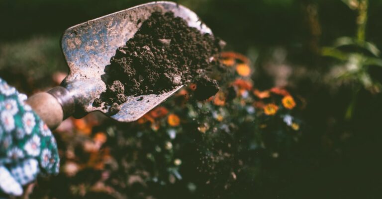7 Backyard Gardening with Native Plants Tips That Enhance Your Space