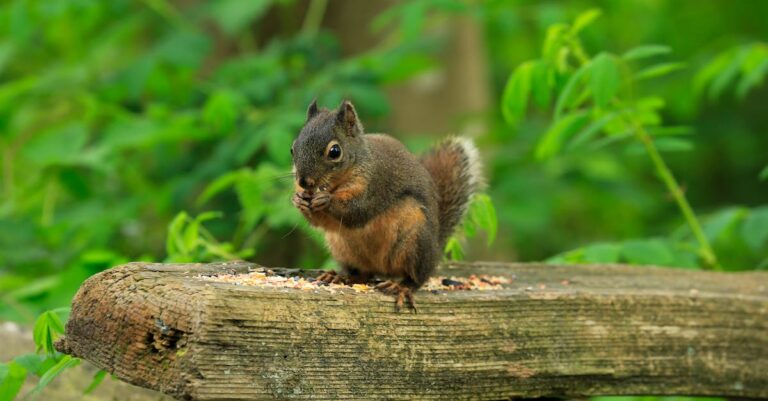 8 Tips for Foraging for Nuts and Seeds with Kids That Build Family Confidence