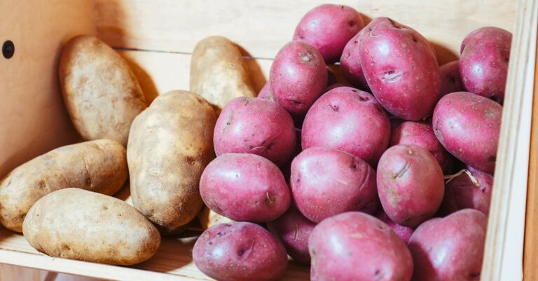 10 Seasonal Food Storage Methods for Families That Save Time and Money