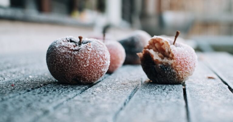 7 Tips for Freezing Food Successfully That Save Time and Money
