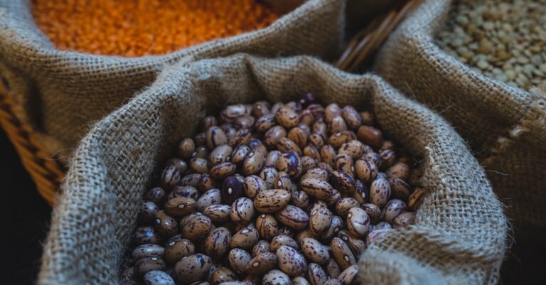 7 Ways to Store Grains and Legumes That Extend Shelf Life for Years