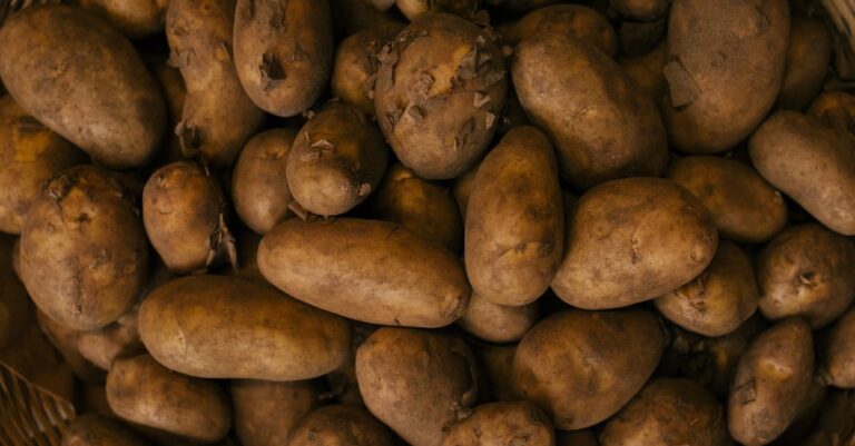 7 Ways of Incorporating Garden Produce into Food Supplies That Save Money