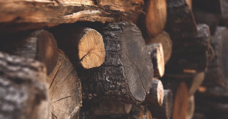 10 Strategies for Reducing Heating Costs in Winter Without Breaking the Bank