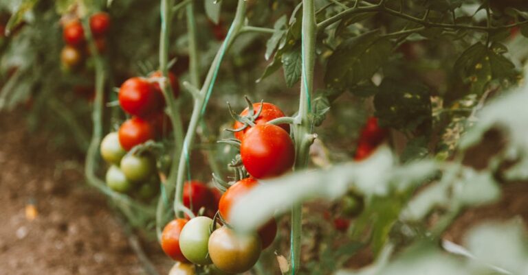 7 Ways to Maximize Yield in Limited Garden Space Without Breaking the Bank