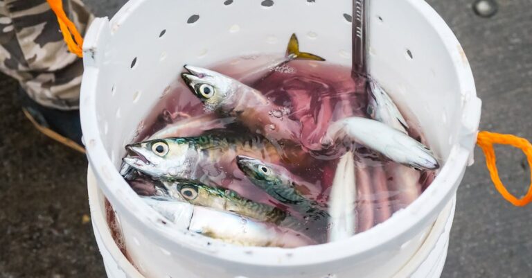 7 Ways to Rotate Stored Water Supplies That Keep Your Family Safe