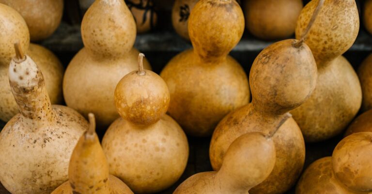 7 Ways to Incorporate Local Food Sources in Readiness Planning You’ll Love