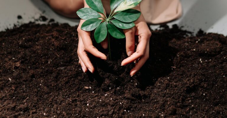 7 Seed Protection Strategies That Keep Pests Away for Good