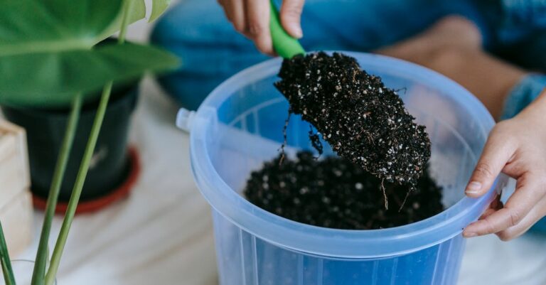 7 Crop Rotation Techniques for Home Gardens That Boost Productivity