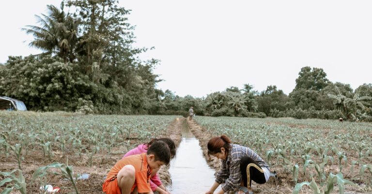 7 Sustainable Water Practices for Families That Save Money Every Day