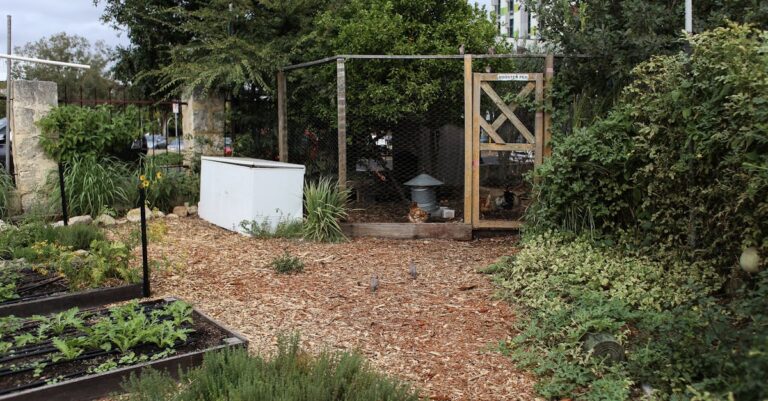 7 Raised Bed Gardening for City Homes That Maximize Urban Harvests