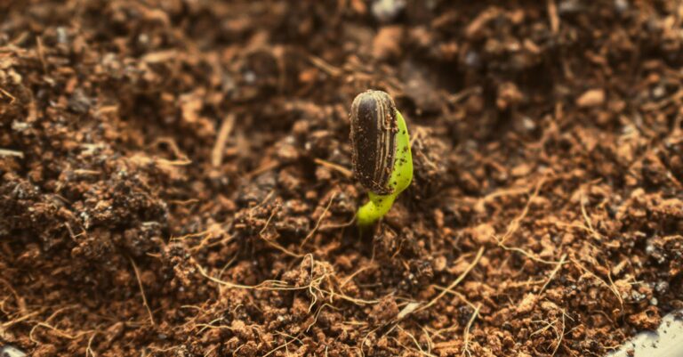 7 Composting Options for Small Spaces That Make Urban Living Sustainable