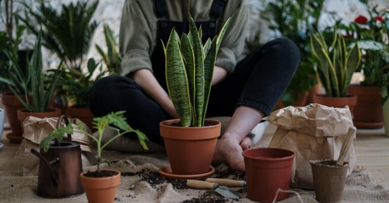 7 Indoor Gardening for Self-Sufficiency Tips That Feed Your Family Year-Round