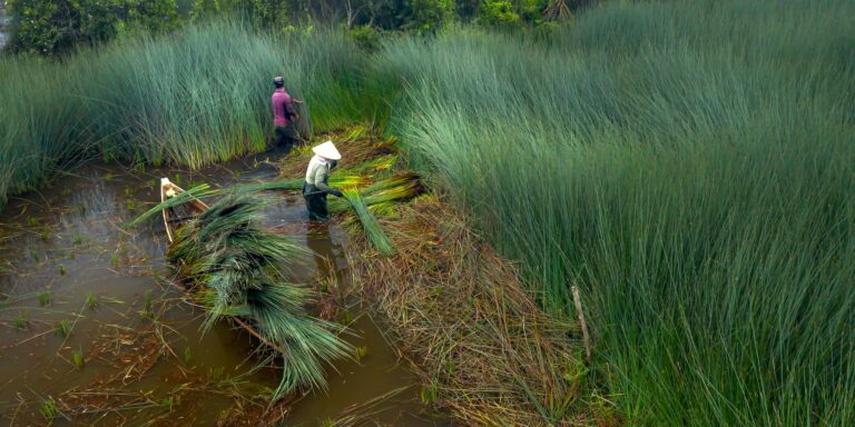 10 Sustainable Water Sourcing Ideas That Support Daily Life