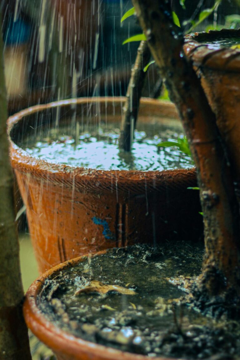 12 Rainwater Harvesting Techniques for Families That Save Money Every Season