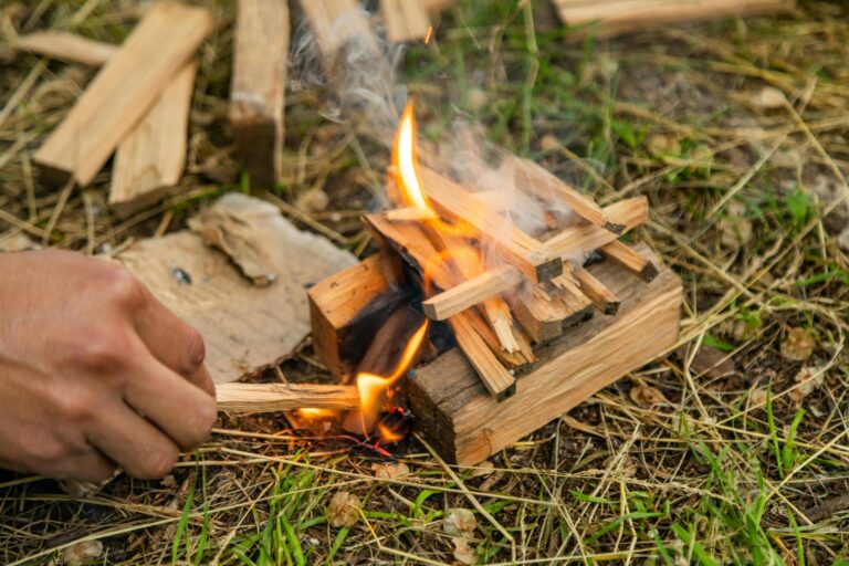 12 Natural Materials for Fire Starting That Use What’s Around You