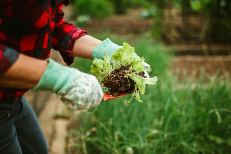 10 Best Gardening Supplies for Food Security That Don’t Break the Bank