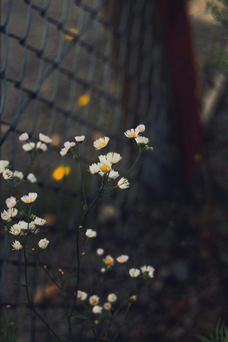 11 Urban Foraging Tips That Every City Family Should Know