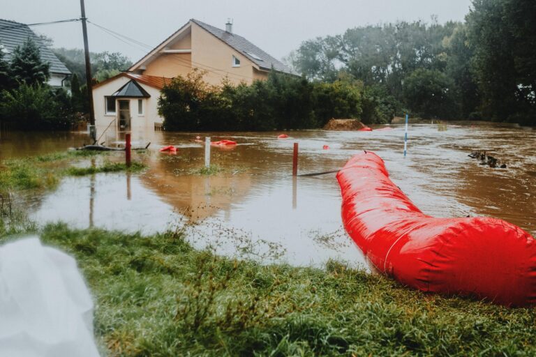 10 Best Weather Apps for Real-Time Alerts That Keep Everyone Safe