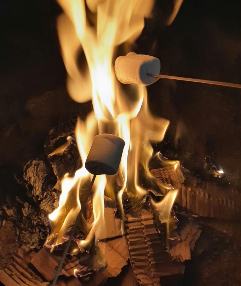 10 Adaptable Cooking Methods for Power Outages That Keep Everyone Fed