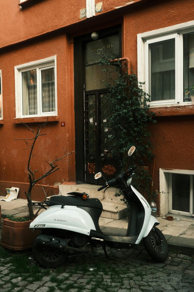 12 Community Gardens as Resilience Tools That Strengthen Neighborhoods