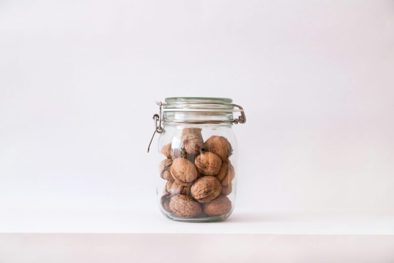 11 Sustainable Food Storage Systems That Support Daily Life