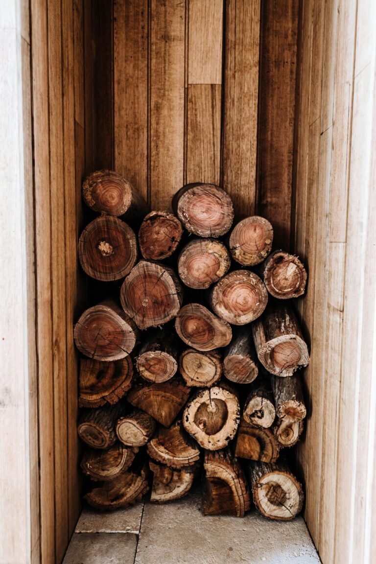 10 Best Firewood Racks for Efficient Storage Without Breaking the Bank