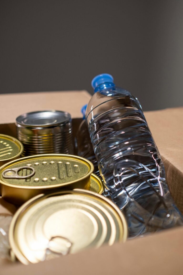 10 Best DIY Water Storage Ideas for Emergency Preparedness That Keep Everyone Safe