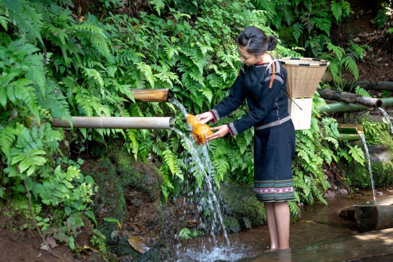 11 Alternative Uses for Collected Rainwater That Support Daily Life