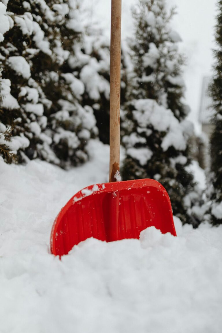 12 Best Shovel Kits for Winter Snow Removal That Keep Everyone Safe