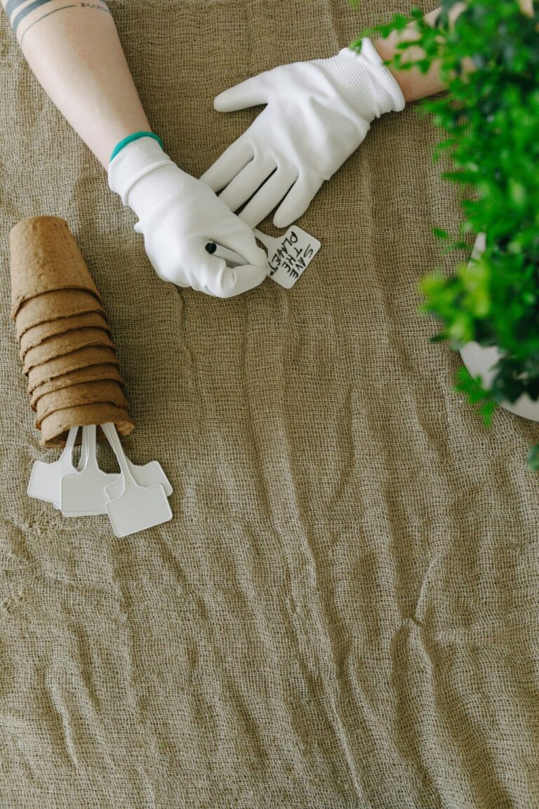 9 Seed Saving Techniques for Future Planting That Keep Gardens Thriving
