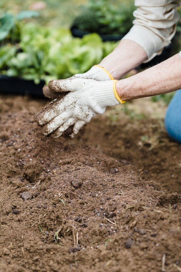 10 Best Supplies for Home Gardening During Shortages to Maximize Growth