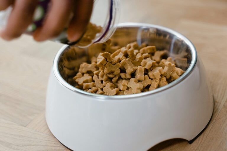10 Best Pet Food Storage Solutions for Long-Term Emergencies That Give Peace of Mind