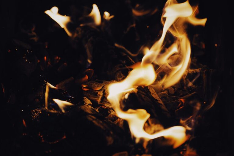 10 Best Propane Stoves for Cooking During Outages That Keep Everyone Safe
