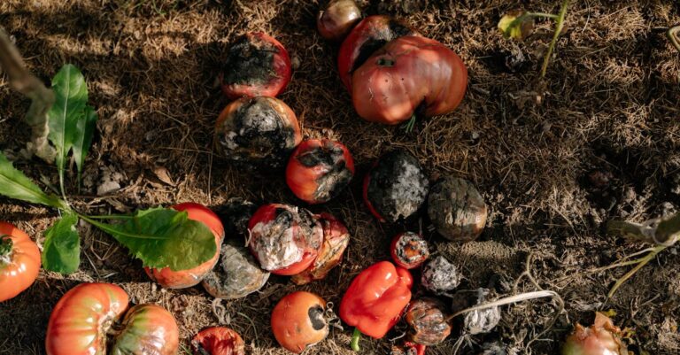 7 Composting Food Waste for Sustainability Tips That Support Daily Life