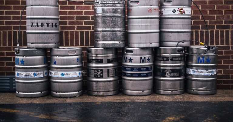 7 Tips for Comparing Homemade vs Commercial Rain Barrels Without Breaking the Bank