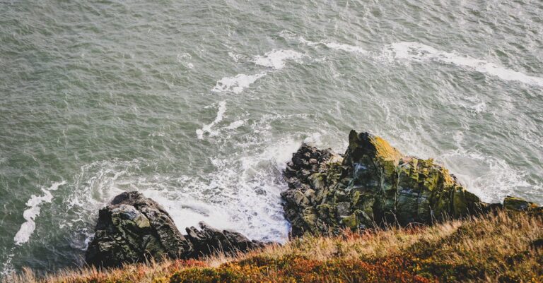 7 Tips for Exploring Natural Water Sources in Your Area That Everyone Should Know