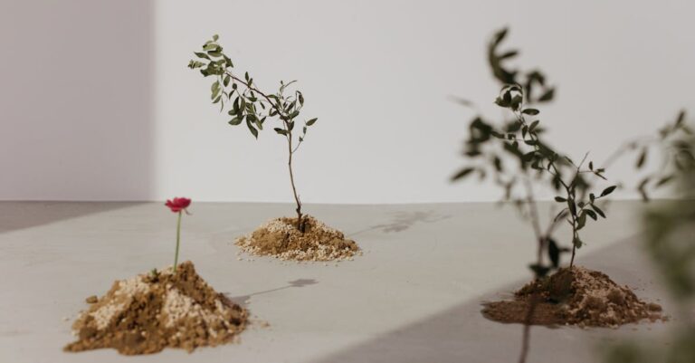 7 Tips for Growing Edible Plants in Small Spaces Without Breaking the Bank