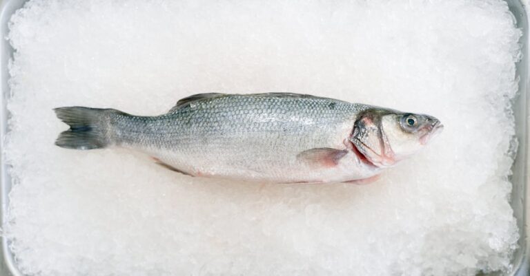 7 Tips for Using Ice for Preserving Food That Everyone Should Know