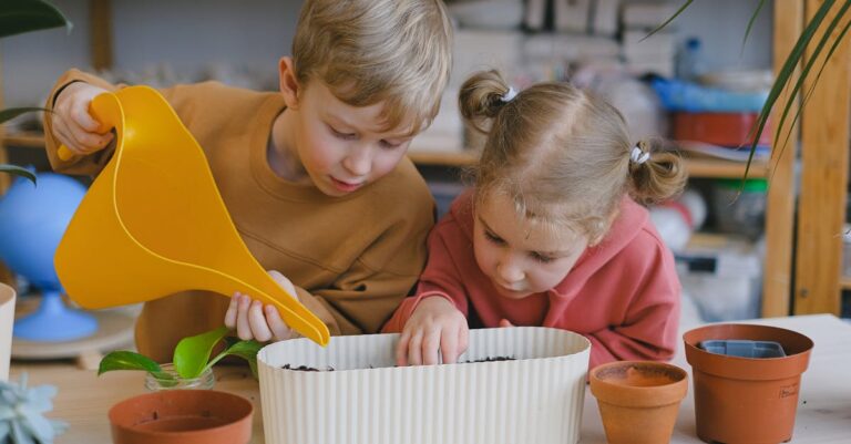 7 Tips for Exploring Heirloom vs Hybrid Seeds That Boost Your Garden’s Success