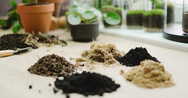 9 Gardening for Self-Sufficiency Tips That Support Daily Life