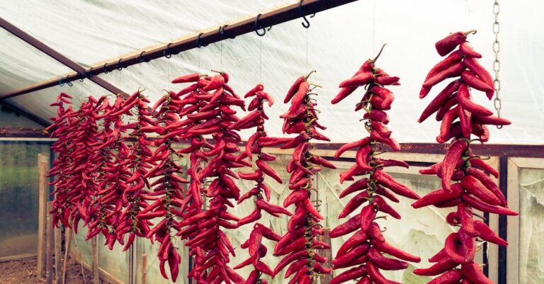 10 Seasonal Preservation Methods for Fruits and Vegetables You Need to Know