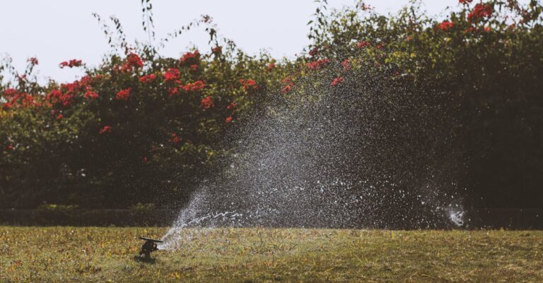 7 Backyard Water Catchment Systems That Support Sustainable Living